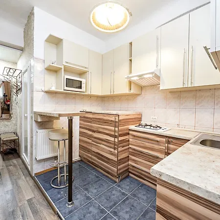 In A Center! Krakivska,34 לבוב