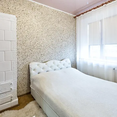 Apartment In A Center! Krakivska,34 Lviv